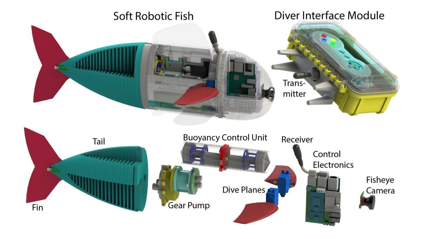 sofi robotic fish